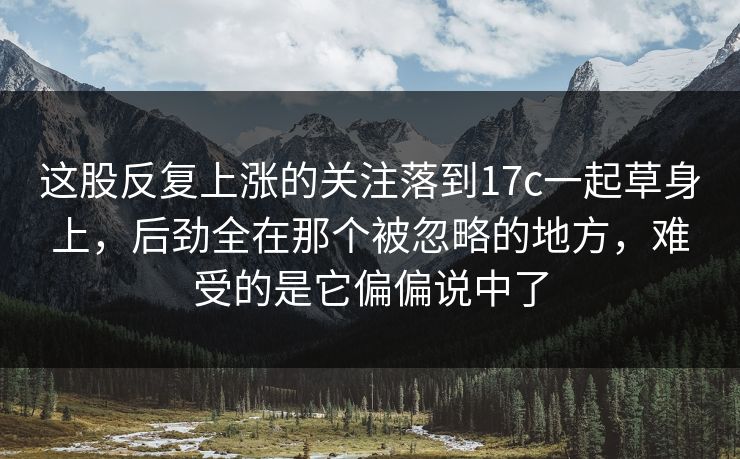 这股反复上涨的关注落到17c一起草身上，后劲全在那个被忽略的地方，难受的是它偏偏说中了